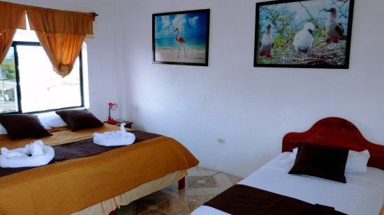 Hostal Sandrita 比亚米尔港 外观 照片