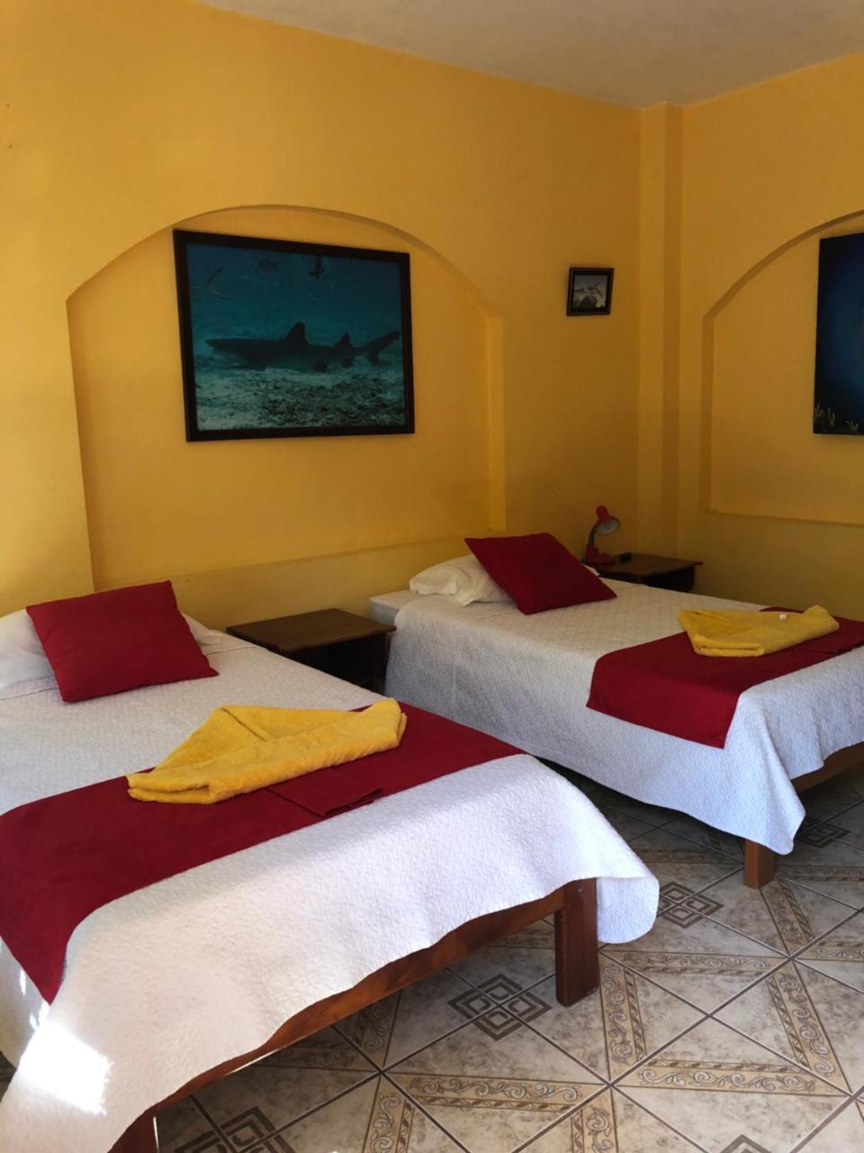 Hostal Sandrita 比亚米尔港 外观 照片